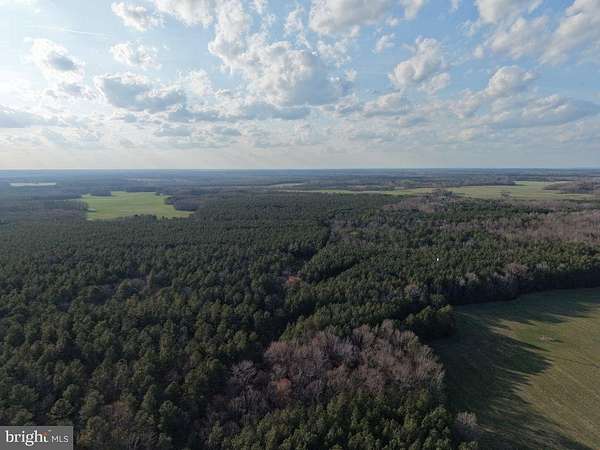 800 Acres of Recreational & Residential Land for Sale in Jamaica, Virginia