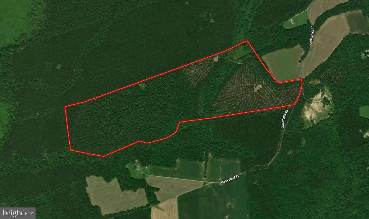 134 Acres of Recreational & Residential Land for Sale in Jamaica, Virginia