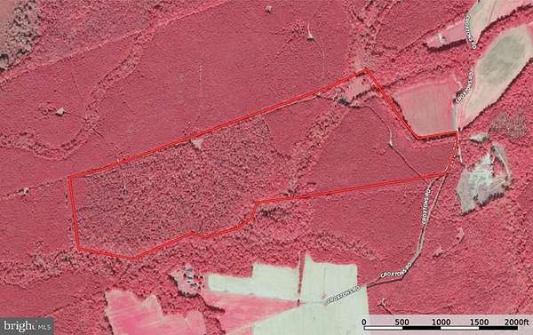 134 Acres of Recreational & Residential Land for Sale in Jamaica, Virginia