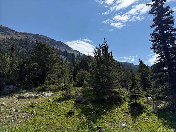 10.2 Acres of Land for Sale in Nederland, Colorado