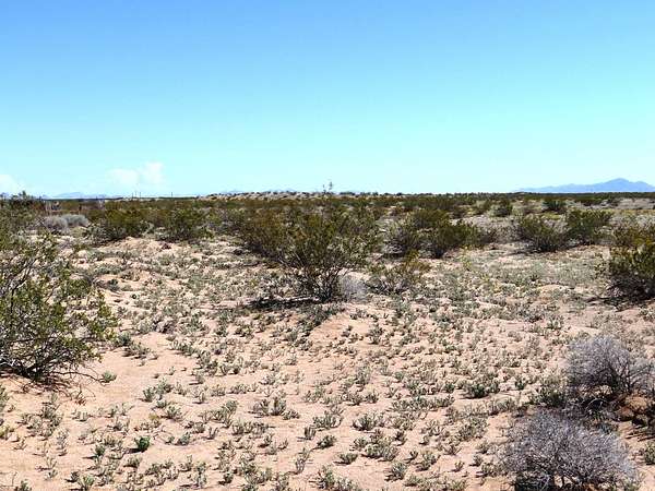 2 Acres of Residential Land for Sale in Roll, Arizona