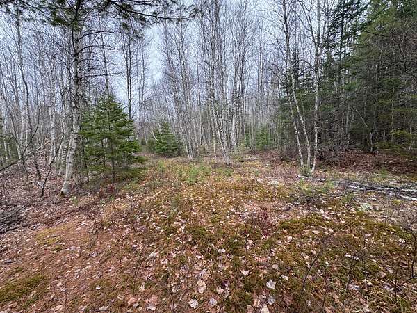 44 Acres of Recreational Land for Sale in Greenbush Town, Maine