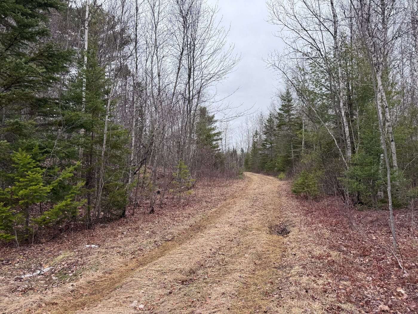 88 Acres of Land for Sale in Greenbush Town, Maine