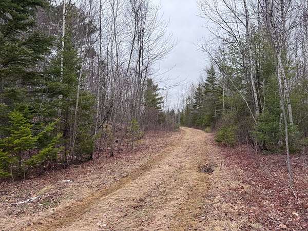 88 Acres of Land for Sale in Greenbush Town, Maine