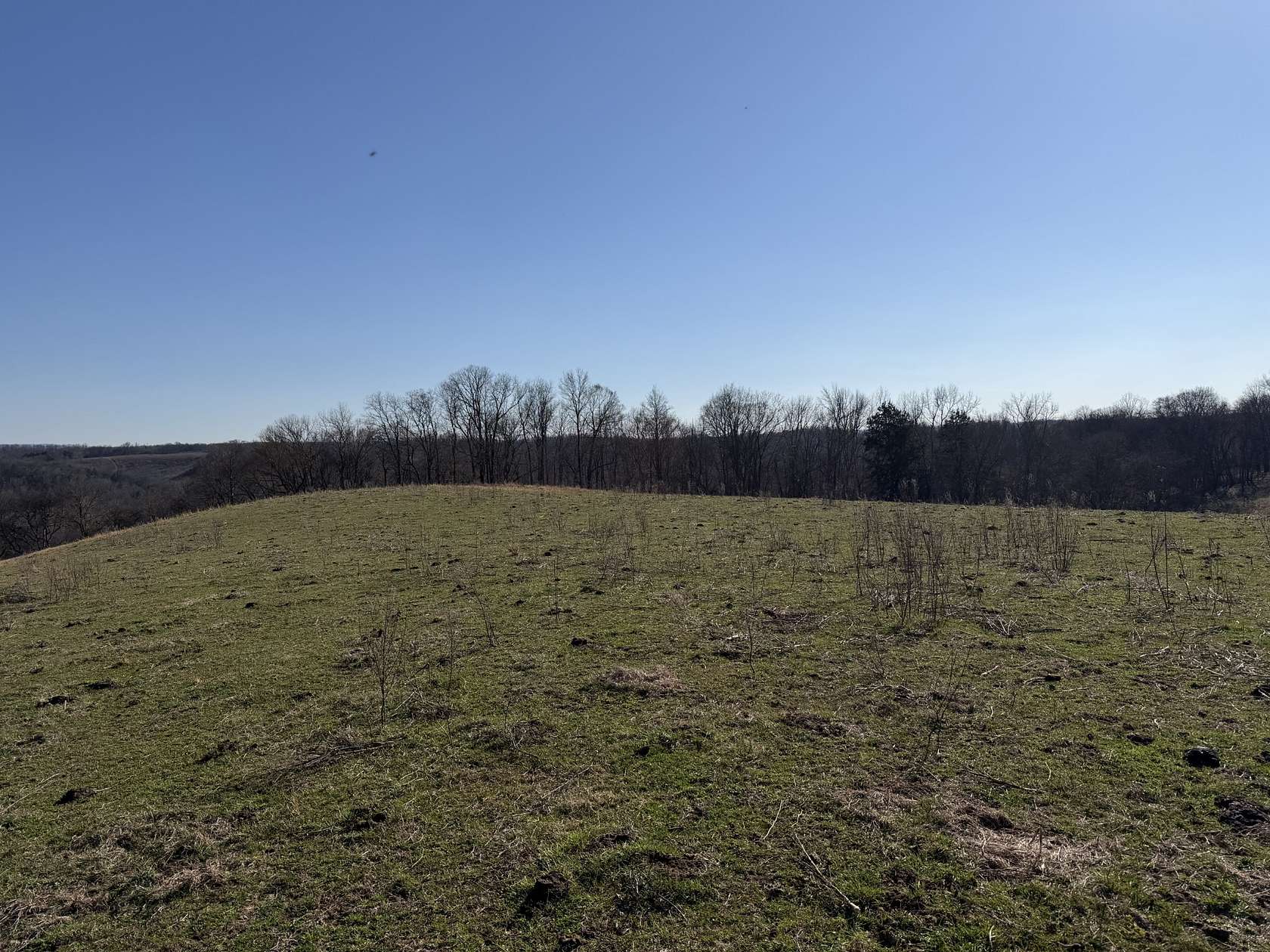 127 Acres of Land for Auction in Winchester, Tennessee
