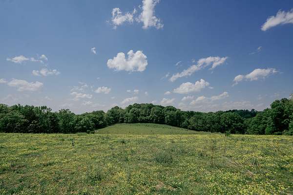 127 Acres of Land for Auction in Winchester, Tennessee