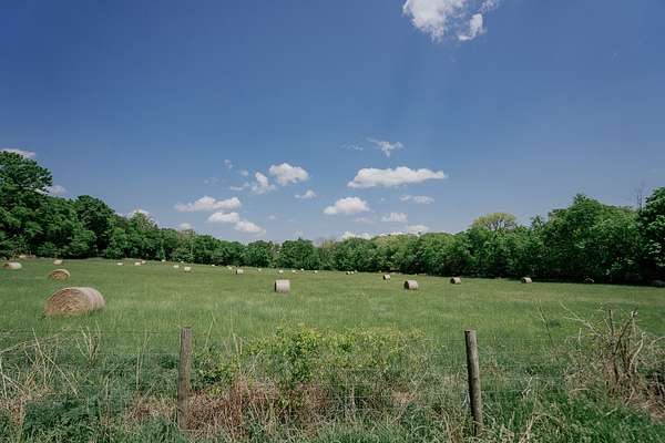 127 Acres of Land for Auction in Winchester, Tennessee