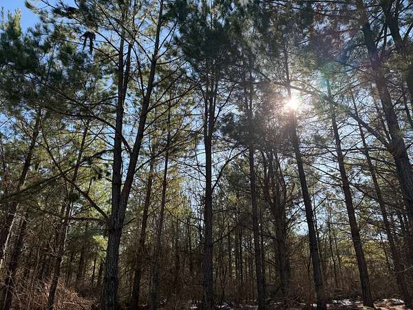 1.28 Acres of Residential Land for Sale in Broken Bow, Oklahoma