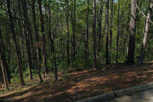1.63 Acres of Land for Sale in Sweetwater, Tennessee