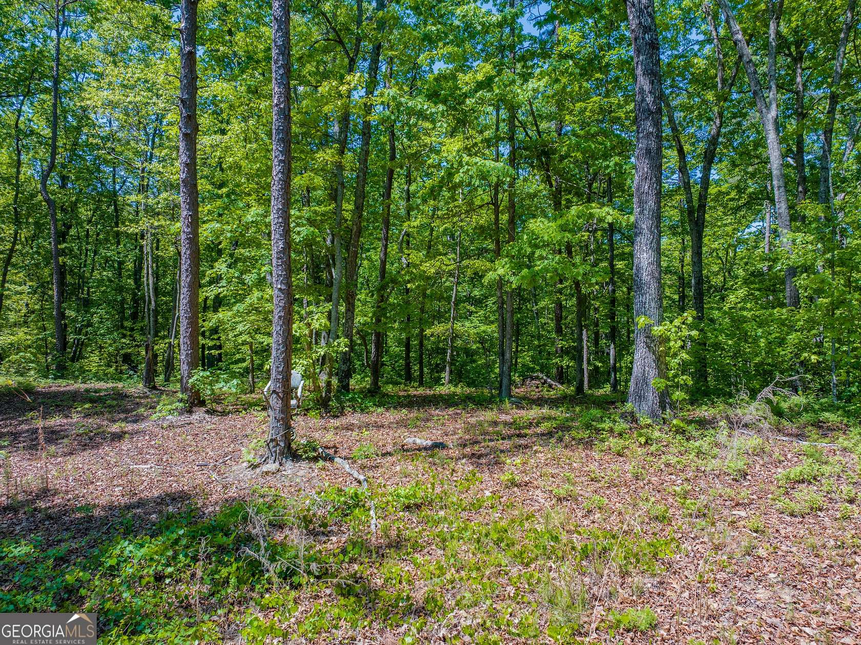 16 Acres of Recreational & Residential Land for Sale in Buchanan, Georgia