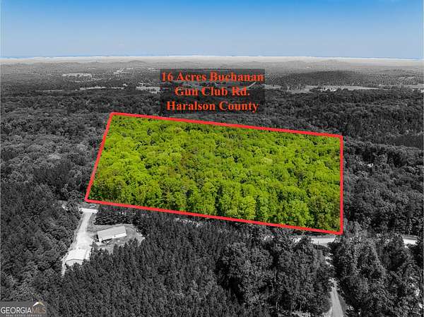 16 Acres of Recreational & Residential Land for Sale in Buchanan, Georgia