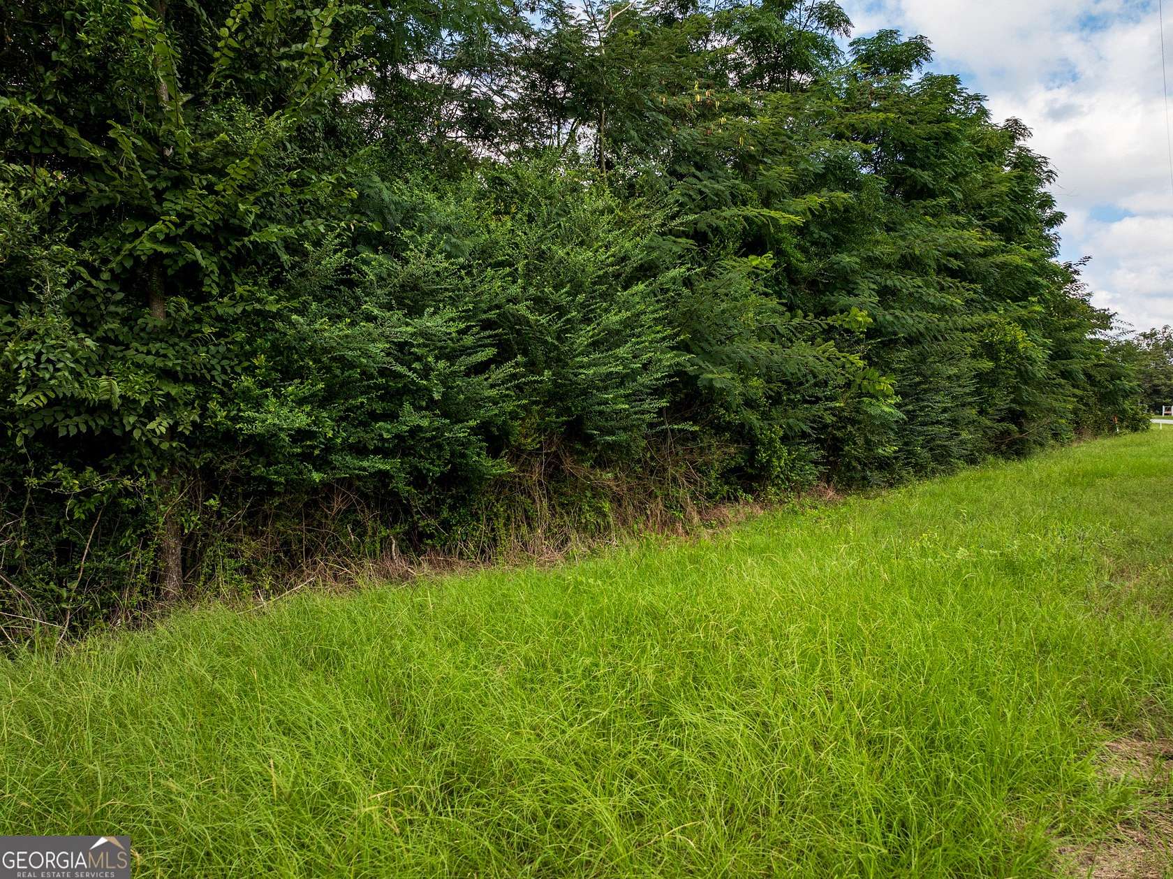 2.78 Acres of Residential Land for Sale in Pineview, Georgia