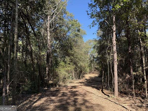 11 Acres of Agricultural Land for Sale in Webb, Alabama