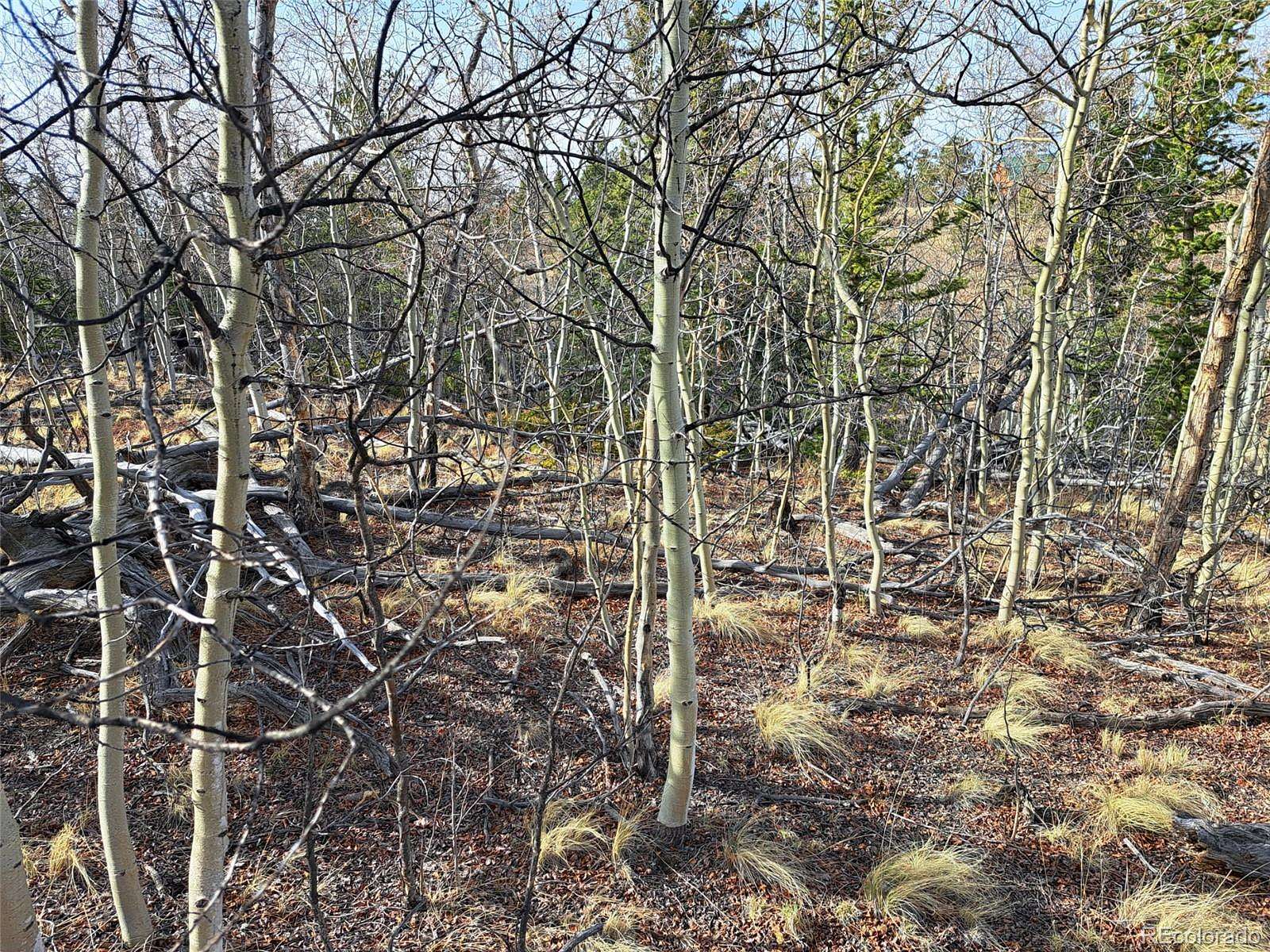 2 Acres of Residential Land for Sale in Como, Colorado