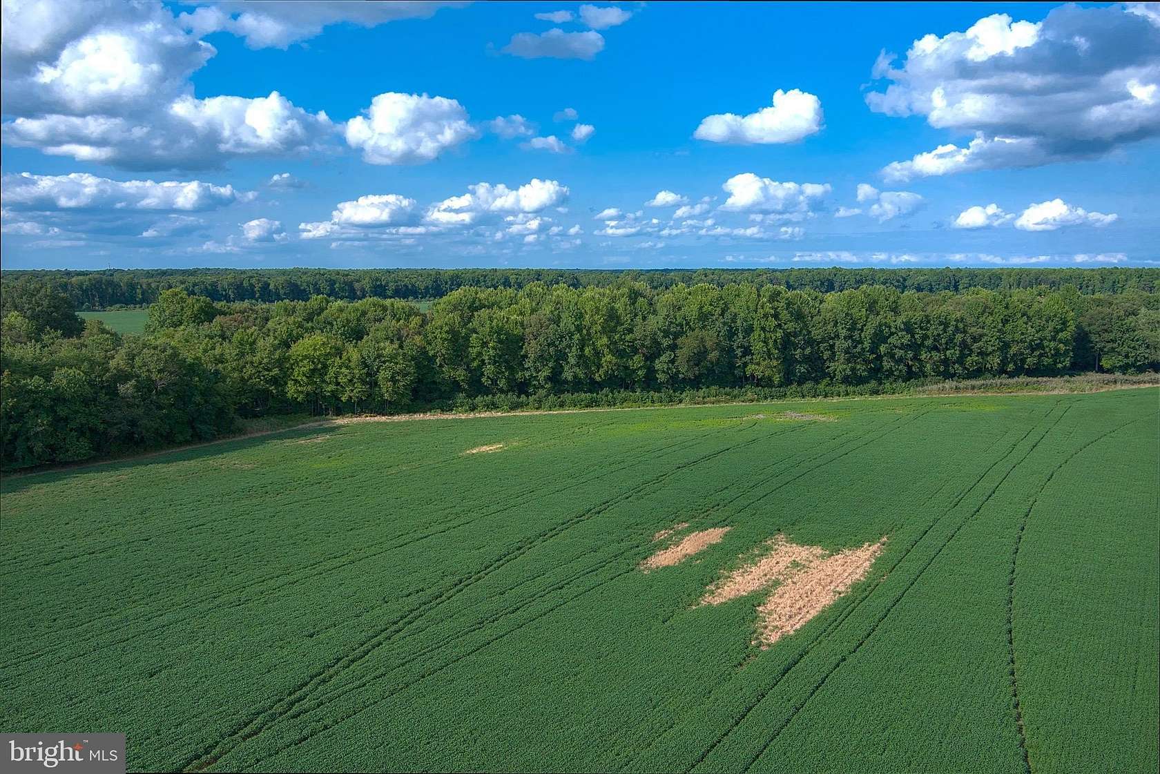 8.43 Acres of Residential Land for Sale in Federalsburg, Maryland