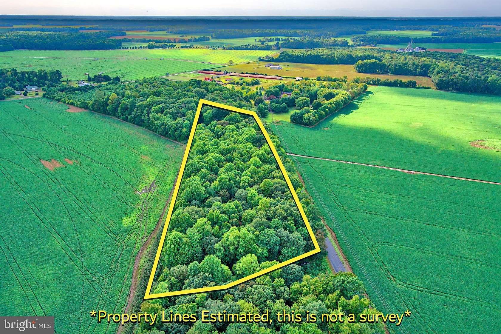 8.43 Acres of Residential Land for Sale in Federalsburg, Maryland