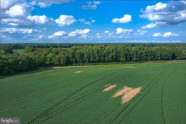 8.43 Acres of Residential Land for Sale in Federalsburg, Maryland