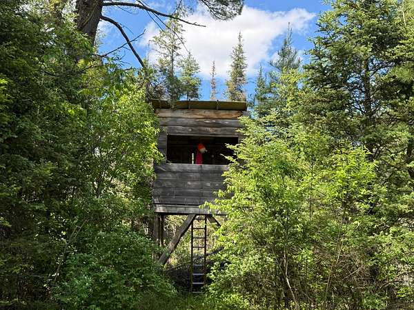 38.9 Acres of Recreational Land for Sale in Land O' Lakes, Wisconsin