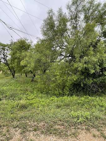 0.17 Acres of Residential Land for Sale in San Angelo, Texas