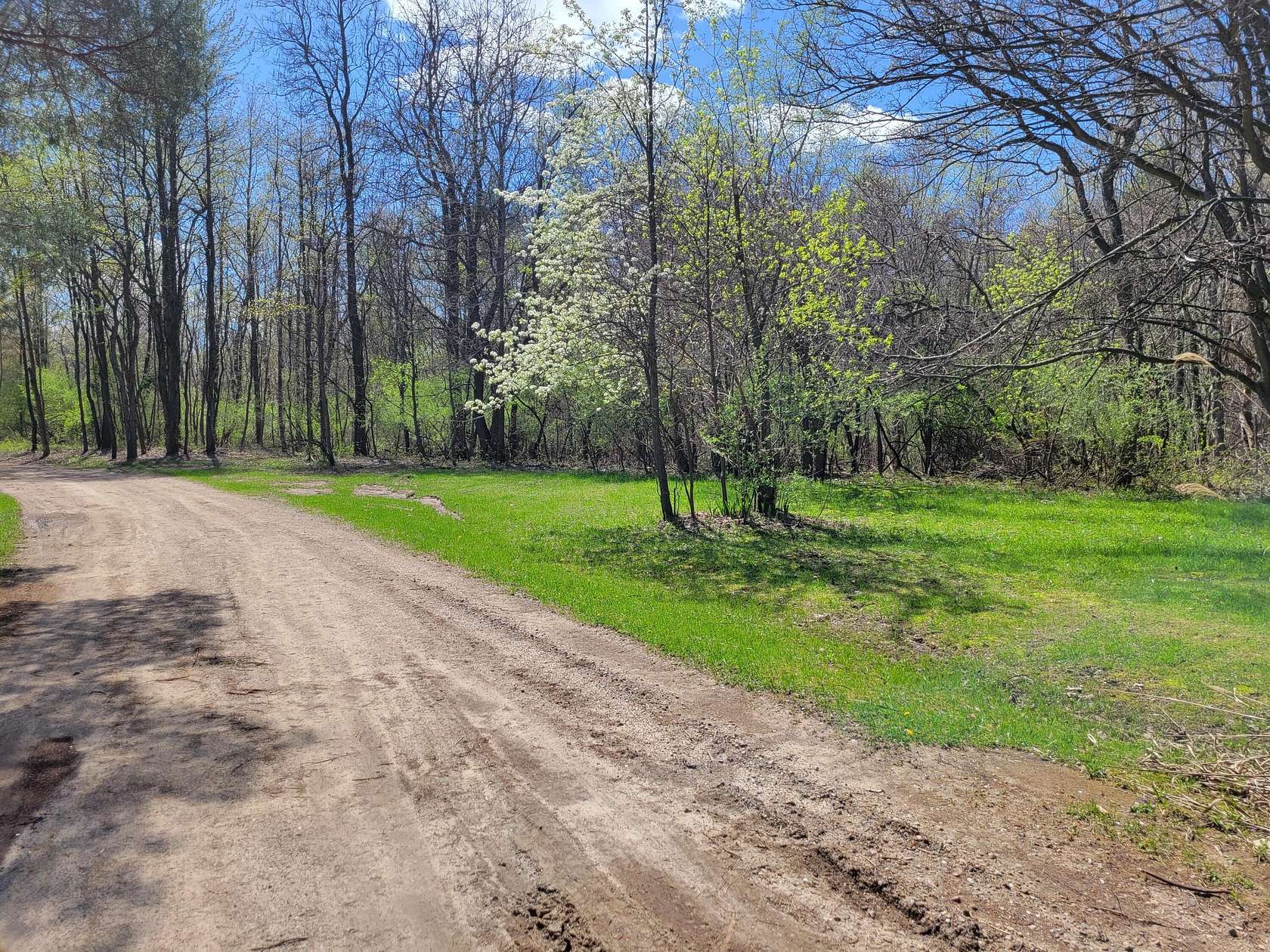 0.76 Acres of Residential Land for Sale in Grand Junction, Michigan