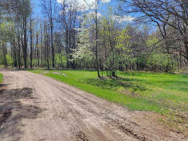 0.76 Acres of Residential Land for Sale in Grand Junction, Michigan