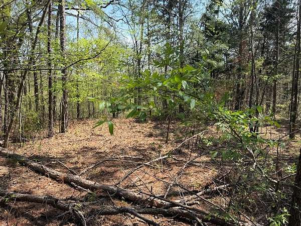 0.07 Acres of Residential Land for Sale in Water Valley, Mississippi