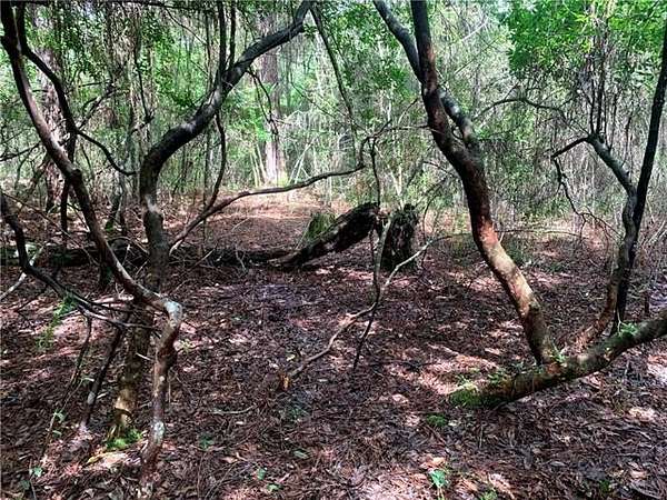 4.18 Acres of Mixed-Use Land for Sale in Mandeville, Louisiana