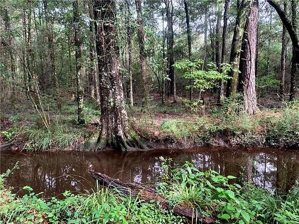 4.18 Acres of Mixed-Use Land for Sale in Mandeville, Louisiana