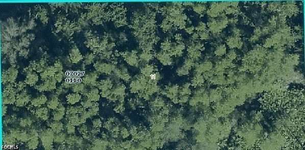 0.5 Acres of Residential Land for Sale in Lehigh Acres, Florida