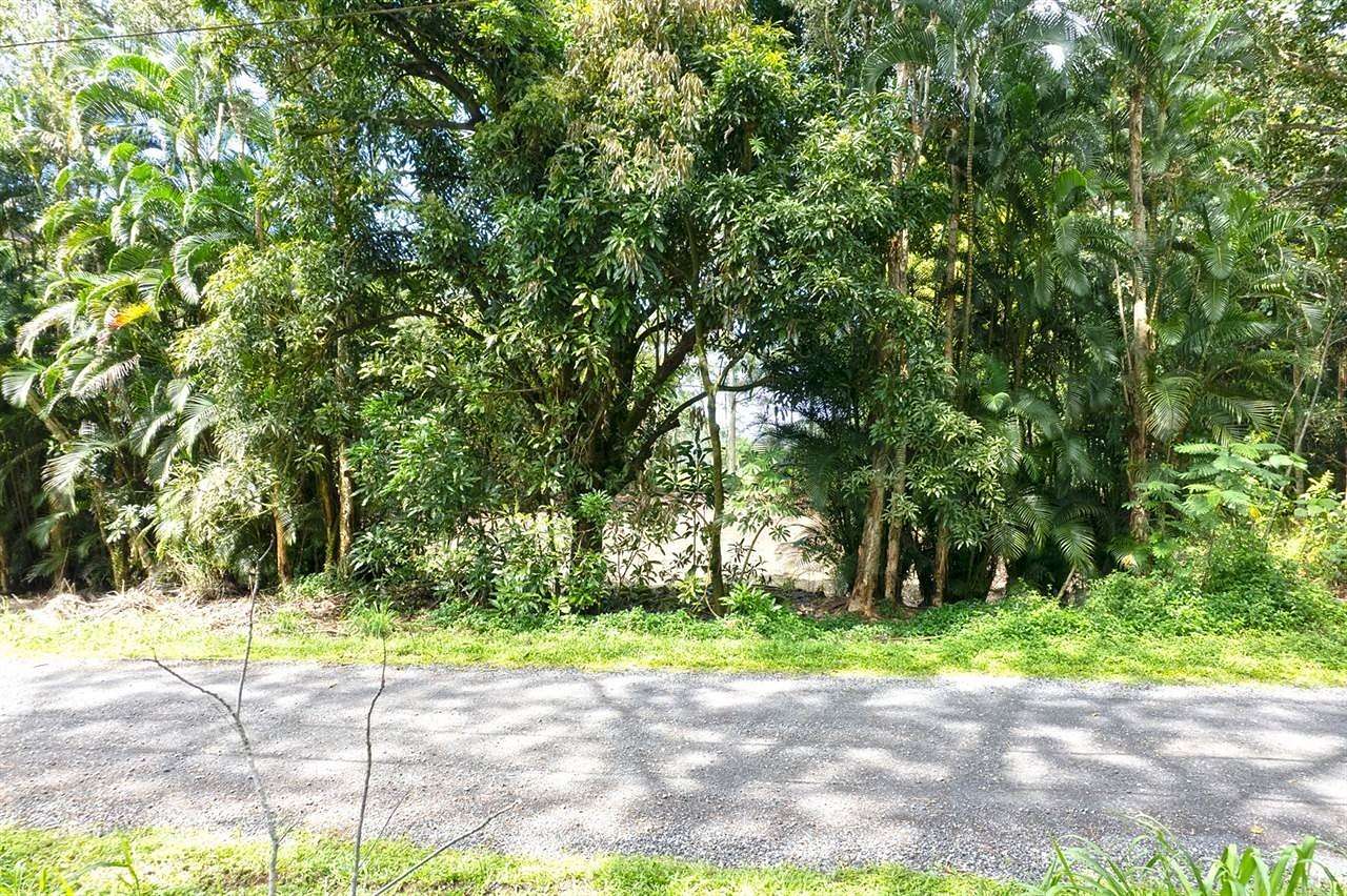 1 Acre of Residential Land for Sale in Keaau, Hawaii