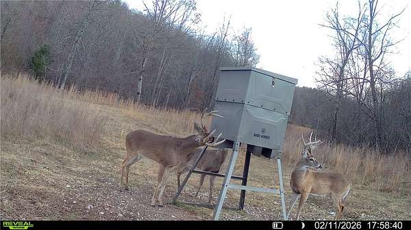 351 Acres of Land for Sale in Watts, Oklahoma