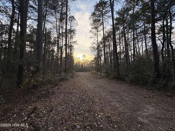 4 Acres of Land for Sale in Willard, North Carolina