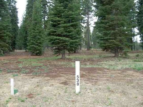 0.25 Acres of Land for Sale in Westwood, California