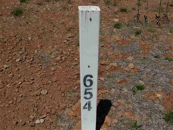 0.25 Acres of Land for Sale in Lake Almanor Peninsula, California