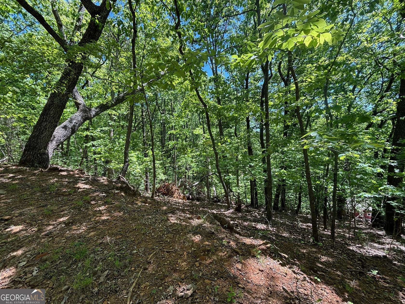 0.68 Acres of Land for Sale in Cleveland, Georgia
