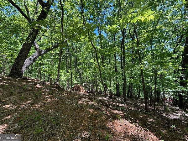 0.68 Acres of Land for Sale in Cleveland, Georgia