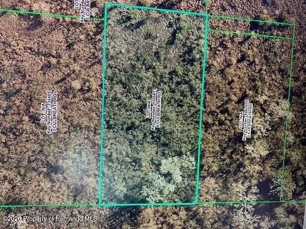 1.25 Acres of Land for Sale in Brooksville, Florida