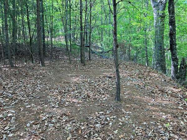 3 Acres of Residential Land for Sale in Hayesville, North Carolina