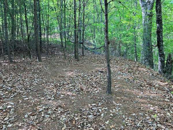 3 Acres of Residential Land for Sale in Hayesville, North Carolina