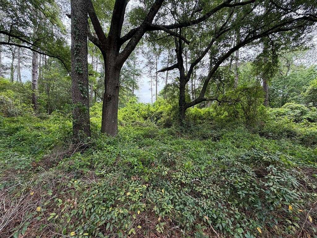 0.55 Acres of Residential Land for Sale in Albany, Georgia