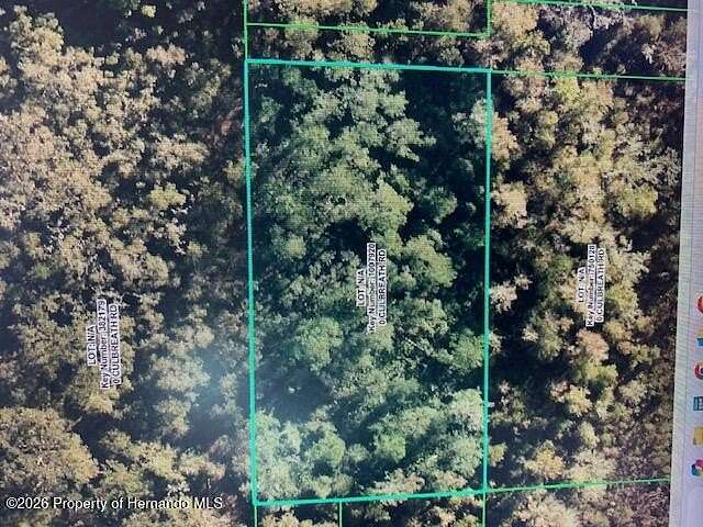 1.25 Acres of Land for Sale in Brooksville, Florida