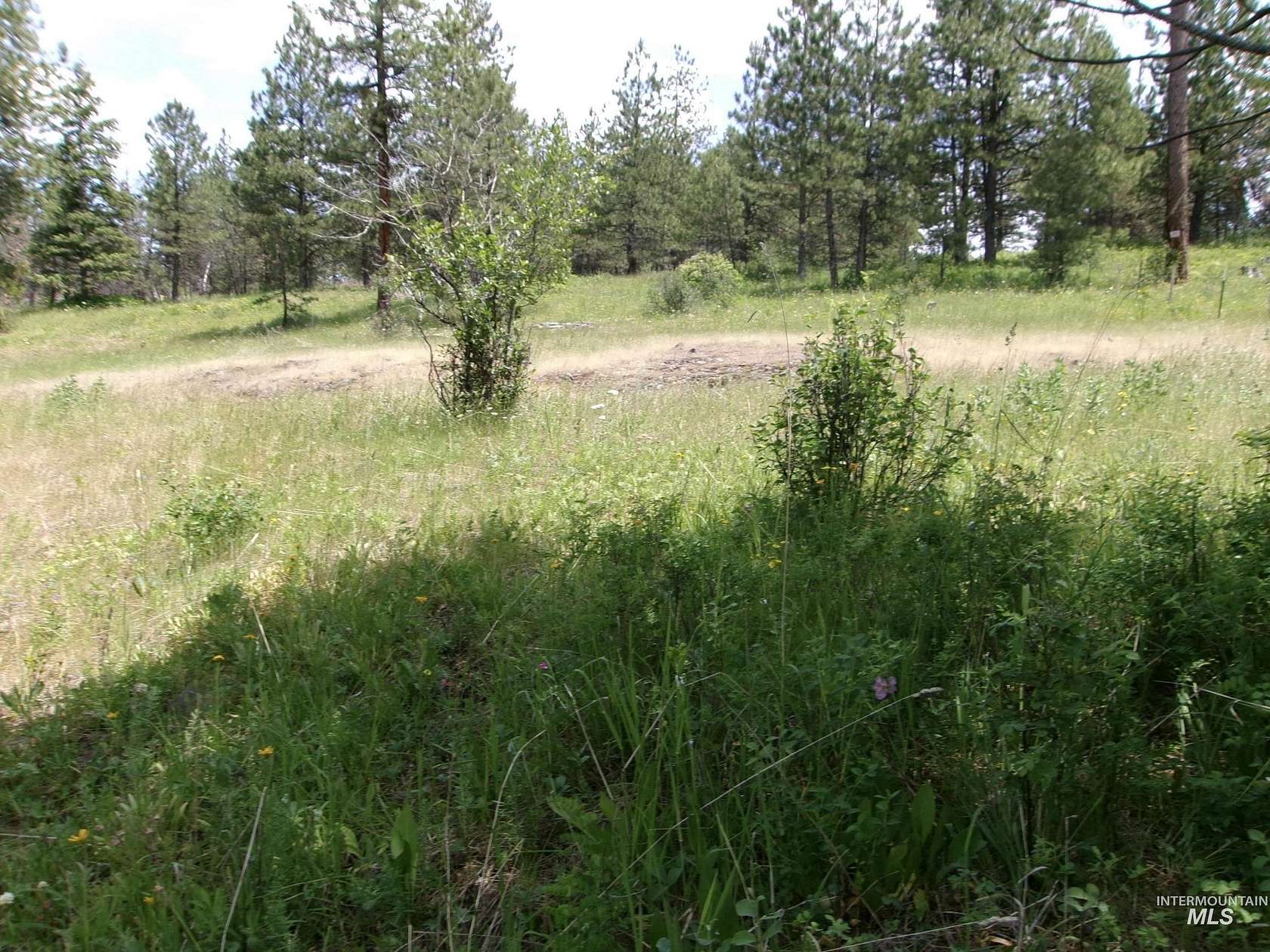 7 Acres of Land for Sale in Cottonwood, Idaho