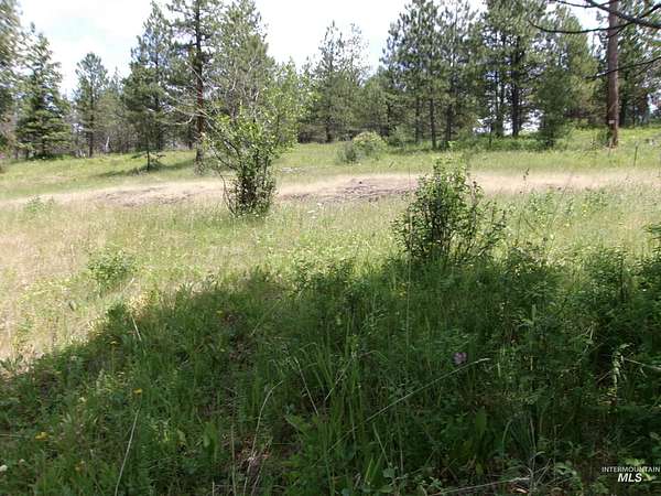7 Acres of Land for Sale in Cottonwood, Idaho