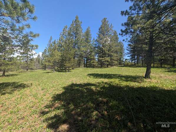 7 Acres of Land for Sale in Cottonwood, Idaho
