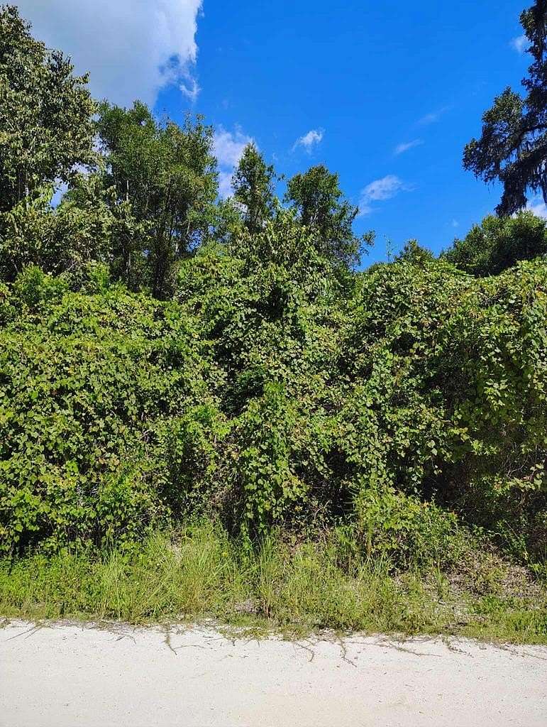 3 Acres of Residential Land for Sale in Old Town, Florida