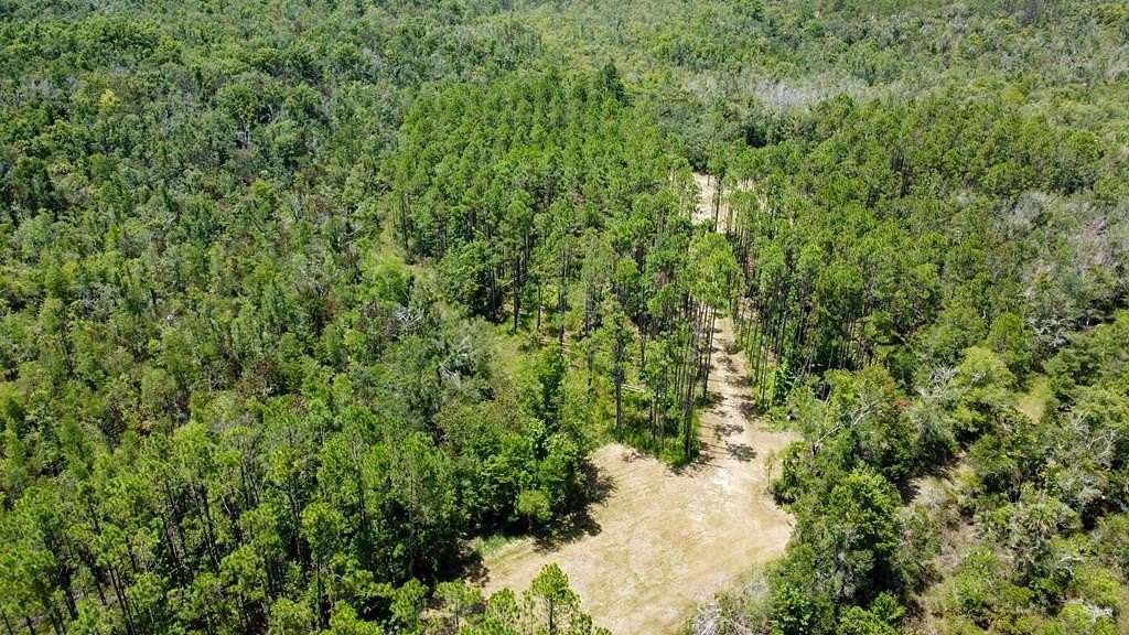 10.4 Acres of Land for Sale in Steinhatchee, Florida