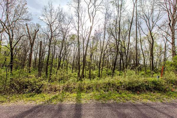 Residential Land for Sale in Mackinaw, Illinois