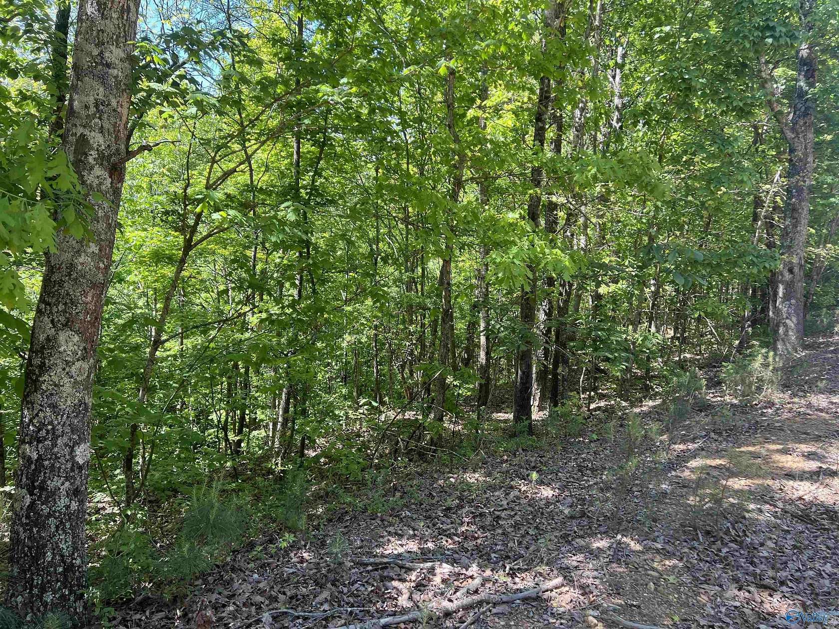 3.38 Acres of Land for Sale in Altoona, Alabama