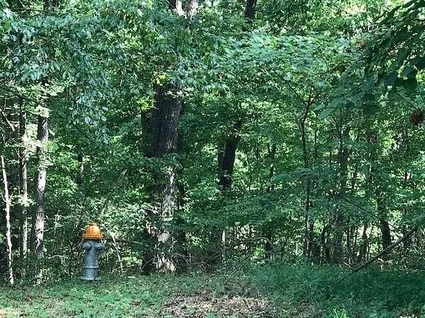 0.28 Acres of Residential Land for Sale in Bella Vista, Arkansas