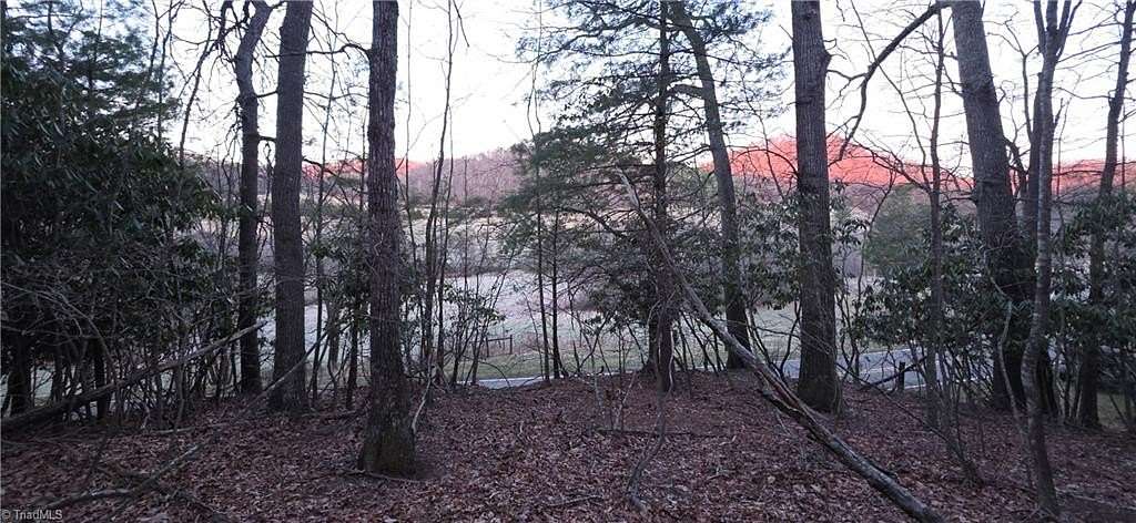 2.87 Acres of Land for Sale in Sparta, North Carolina